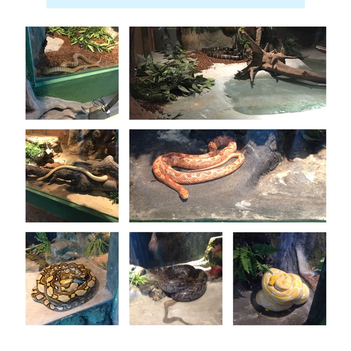 高端拉床,專用機床,內拉床,外拉床,數(shù)控機床,自動化生產線,工業(yè)機器人 高端拉床,專用機床,內拉床,外拉床,數(shù)控機床,自動化生產線,工業(yè)機器人