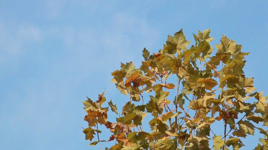 拉床,拉刀,自動(dòng)化,高端拉床,專(zhuān)用機(jī)床,內(nèi)拉床,外拉床,數(shù)控機(jī)床,自動(dòng)化生產(chǎn)線,工業(yè)機(jī)器人 拉床,拉刀,自動(dòng)化,高端拉床,專(zhuān)用機(jī)床,內(nèi)拉床,外拉床,數(shù)控機(jī)床,自動(dòng)化生產(chǎn)線,工業(yè)機(jī)器人