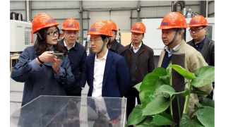 浙江省政協(xié)副秘書(shū)長(zhǎng)帥燮瑯一行調(diào)研暢爾