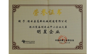 喜獲“明星企業(yè)”、“明星企業(yè)家”稱號