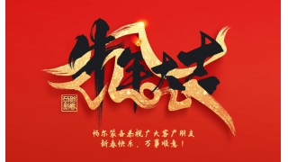 浙江暢爾智能裝備股份有限公司祝大家2021年新年快樂！