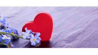 【暢爾故事】胡武英：在暢爾，總有溫暖隨行