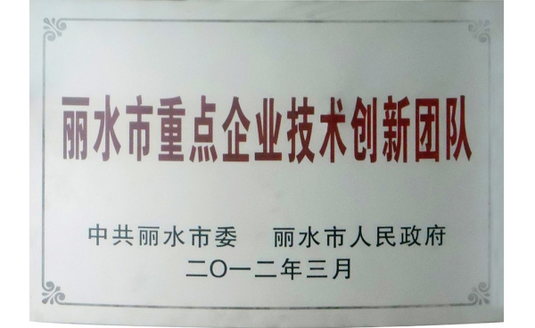 麗水市重點(diǎn)企業(yè)技術(shù)創(chuàng)新團(tuán)隊(duì)