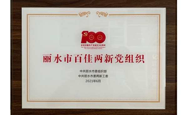 麗水市百佳兩新黨組織